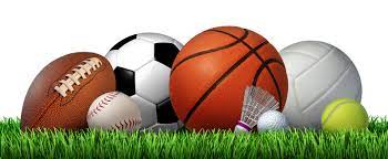 Sports Teams